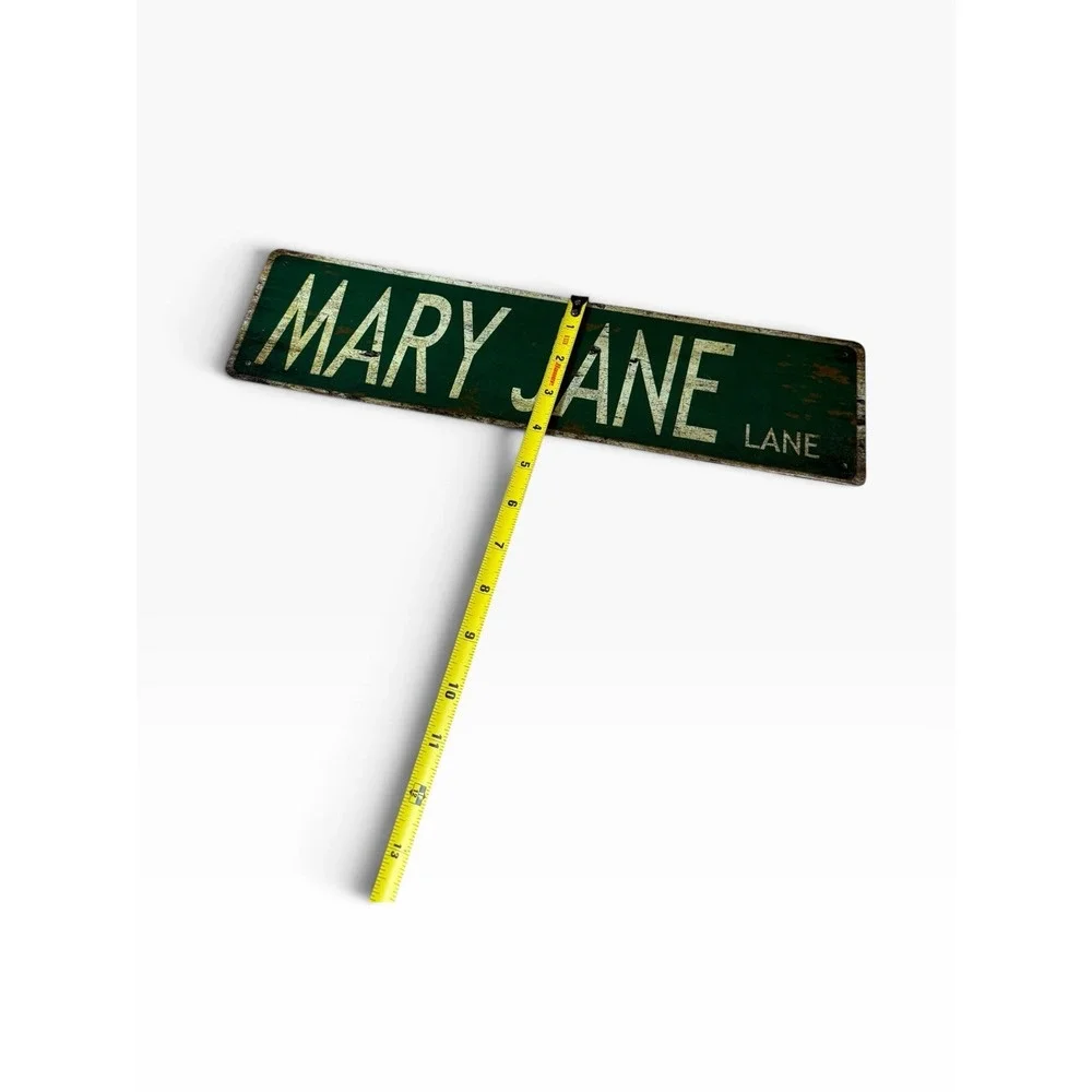 New Novelty Collectible Metal Sign MARY JANE LANE street sign